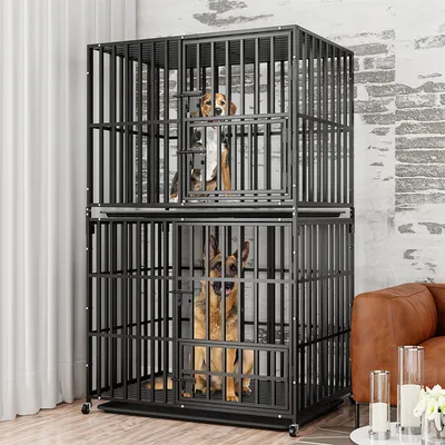 Cage Chien Transparent caisse pour Animaux