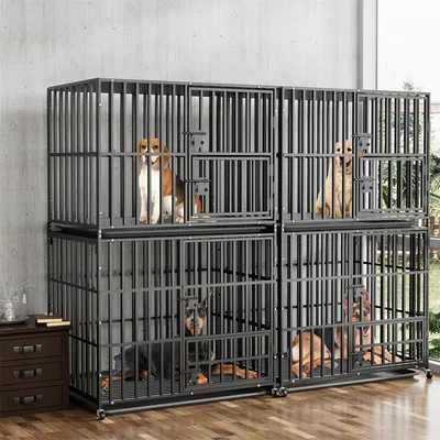 Cage Chien Transparent caisse pour Animaux