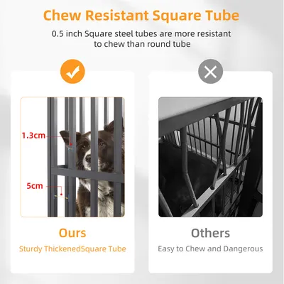 Cage Chien Transparent caisse pour Animaux