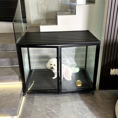 Cage Chien Transparent caisse pour Animaux à Roulette avec 2 Porte