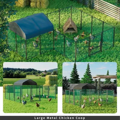 Enclos Poulailler 10 m² 4×3×1.5 M Parc Nylon avec Bâche Enclos Poules