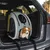 Poussette Pliable Chariot Pliant pour chien et chat Animal de Compagnie