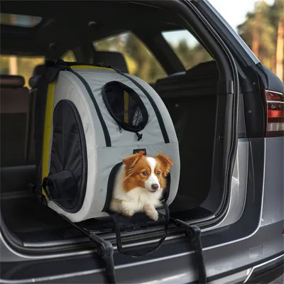 Poussette Pliable Chariot Pliant pour chien et chat Animal de Compagnie