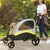 BINGOPAW Poussette Chien Pliable Chariot  avec séparateur amovible