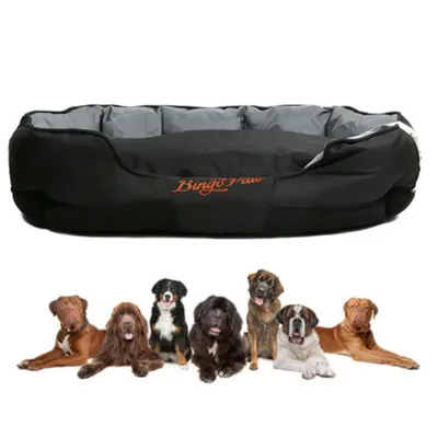 BINGOPAW Coussin pour chien Matelas à mémoire de forme Panier pour chien BINGOPAW Coussin pour chien Matelas à mémoire de forme Panier pour chien