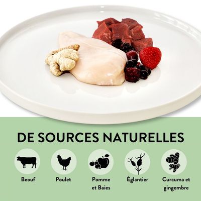 PUJA Body Treats Snacks pour chiens en bonne santé Booster immunitaire