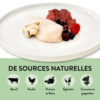 PUJA Body Treats Snacks pour chiens en bonne santé Booster immunitaire