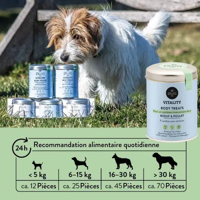 PUJA Body Treats Snacks pour chiens en bonne santé Booster immunitaire