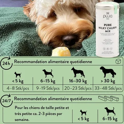 PUJA Churpi mélange de fromage à mâcher sans céréales pour petits chiens