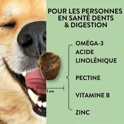 PUJA Vitality Teeth friandises pour chiens pour des dents saines