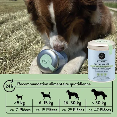 PUJA Vitality Teeth friandises pour chiens pour des dents saines