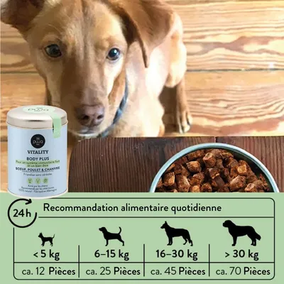 PUJA Body Treats des friandises au chanvre pour des chiens en bonne santé