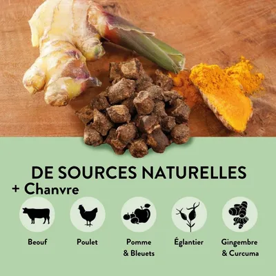 PUJA Body Treats des friandises au chanvre pour des chiens en bonne santé