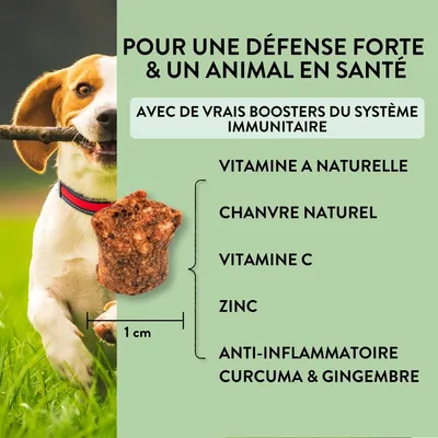 PUJA Body Treats des friandises au chanvre pour des chiens en bonne santé