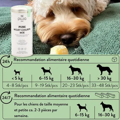 PUJA Churpi mélange de fromage à mâcher sans céréales pour chiens moyens