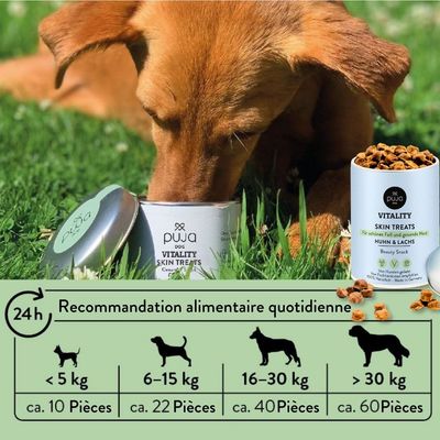 PUJA triple set de friandises saines pour chiens: Body, Teeth et Skin