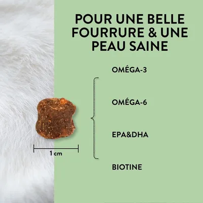 PUJA triple set de friandises saines pour chiens: Body, Teeth et Skin