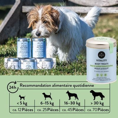 PUJA triple set de friandises saines pour chiens: Body, Teeth et Skin