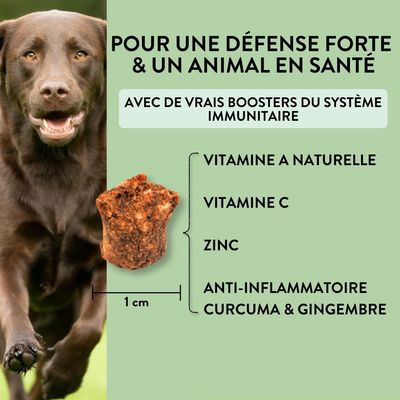 PUJA triple set de friandises saines pour chiens: Body, Teeth et Skin