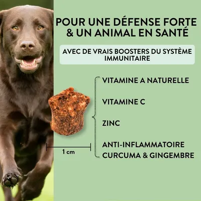 PUJA triple set de friandises saines pour chiens: Body, Teeth et Skin