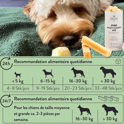PUJA Churpi mélange de fromage à mâcher sans céréales pour chiens grande