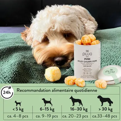 PUJA Boules de fromage à mâcher croustillantes Churpi Snacks pour chiens