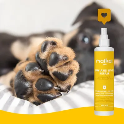 MAIKAI Baume Coussinet Chien en Spray - Protection Coussinet