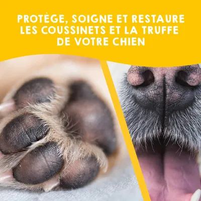 MAIKAI Baume Coussinet Chien en Spray - Protection Coussinet