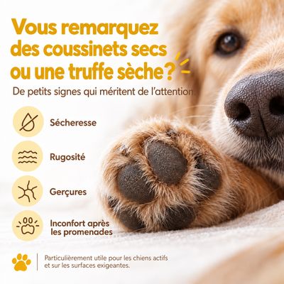 MAIKAI Baume Coussinet Chien en Spray - Protection Coussinet