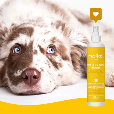 MAIKAI Baume Coussinet Chien en Spray - Protection Coussinet