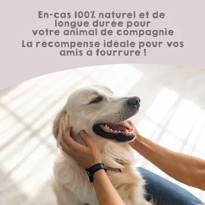 MAIKAI Lot 3 Pieds d'agneau Séchés - Friandises pour Chien 100% Naturelles