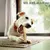 MAIKAI Lot 3 Pieds d'agneau Séchés - Friandises pour Chien 100% Naturelles