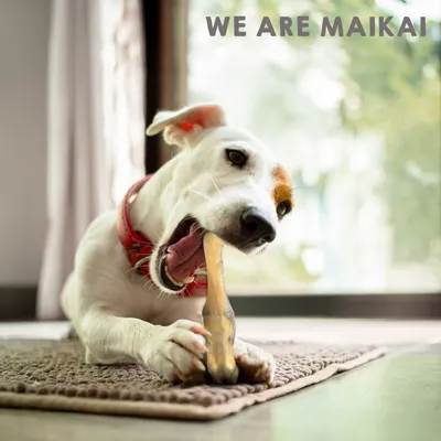 MAIKAI Lot 3 Pieds d'agneau Séchés - Friandises pour Chien 100% Naturelles