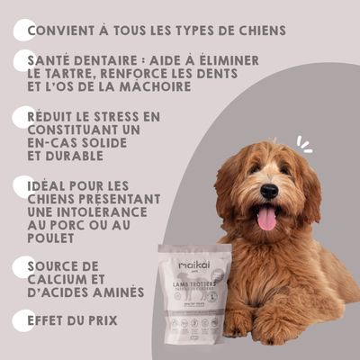 MAIKAI Lot 3 Pieds d'agneau Séchés - Friandises pour Chien 100% Naturelles