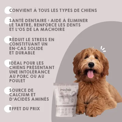 MAIKAI Lot 3 Pieds d'agneau Séchés - Friandises pour Chien 100% Naturelles