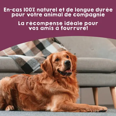 MAIKAI Trachées de Bœuf Séchées Lot 3x2 units - Friandises 100% Naturelles