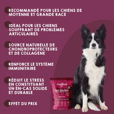 MAIKAI Trachées de Bœuf Séchées Lot 3x2 units - Friandises 100% Naturelles MAIKAI Trachées de Bœuf Séchées Lot 3x2 units - Friandises 100% Naturelles