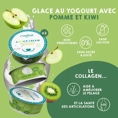 MAIKAI Lot 6 Pots Glace pour Chien et Chat - Prêt à Consommer