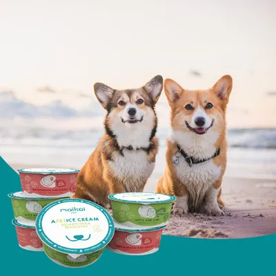 Glaces pour Chien et Chat avec Prébiotiques. Sans lactose. (Lot de 6 x110g)