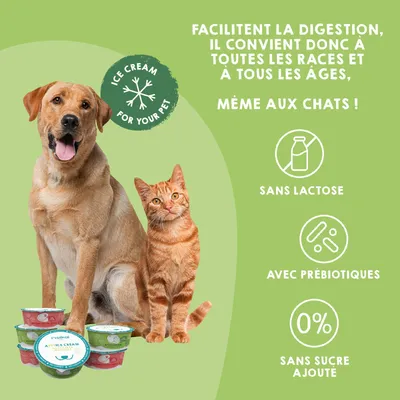 Glaces pour Chien et Chat avec Prébiotiques. Sans lactose. (Lot de 6 x110g)