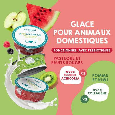 Glaces pour Chien et Chat avec Prébiotiques. Sans lactose. (Lot de 6 x110g)