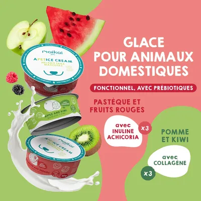 Glaces pour Chien et Chat avec Prébiotiques. Sans lactose. (Lot de 6 x110g)