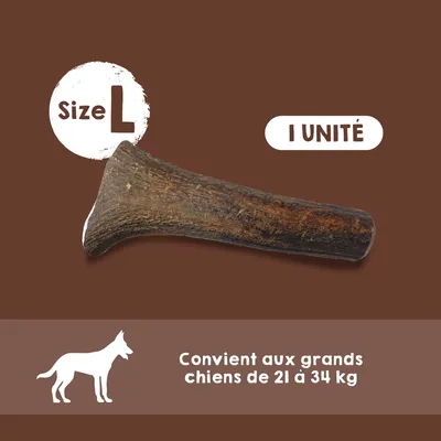 MAIKAI Bois de Cerf pour Chien 100% Naturel - Os à Mâcher - Jouet Résistant