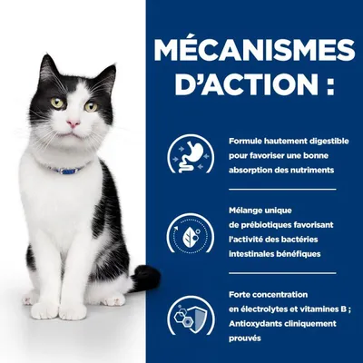 HILL'S -   CHAT ADULT PRESCRIPTION DIETS I/D DIGESTIVE