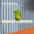 Pssopp Support de Perche pour Oiseau, Perroquet, Support de Perche, Tige de