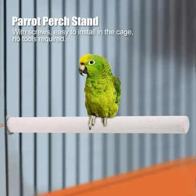 Pssopp Support de Perche pour Oiseau, Perroquet, Support de Perche, Tige de