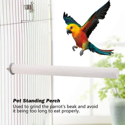 Pssopp Support de Perche pour Oiseau, Perroquet, Support de Perche, Tige de