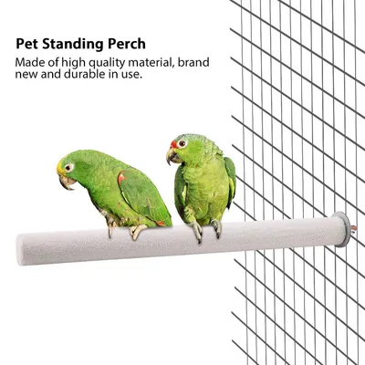 Pssopp Support de Perche pour Oiseau, Perroquet, Support de Perche, Tige de