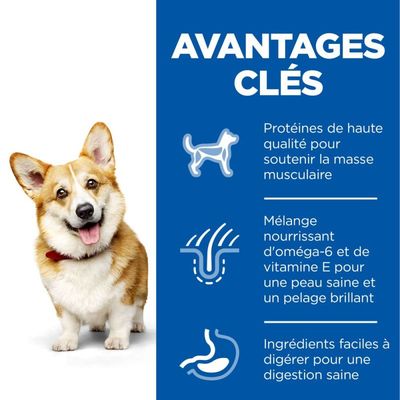 HILL'S - Hundekroketten Wissenschaftsplan Erwachsene kleine und Mini-Hühne
