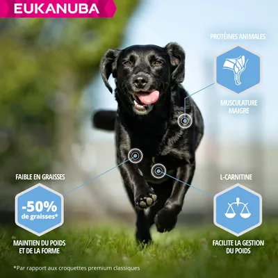 Eukanuba Croquettes Adulte Contrôle de Poids pour Chien